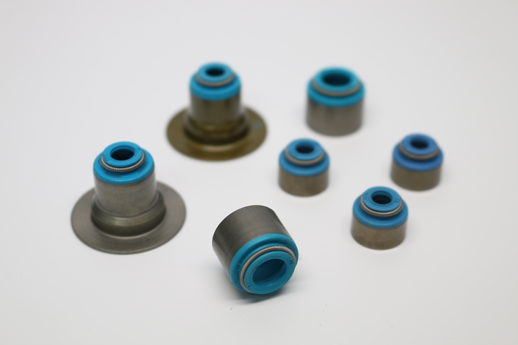 Valve Seals